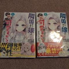 隣国から来た嫁が可愛すぎてどうしよう。　 1、2巻
