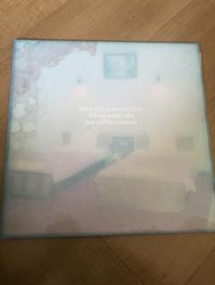 A Night in Bangkok 坂本慎太郎 VIDEOTAPEMUSIC
