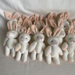 ウサギのぬいぐるみ 15体セットのサムネイル