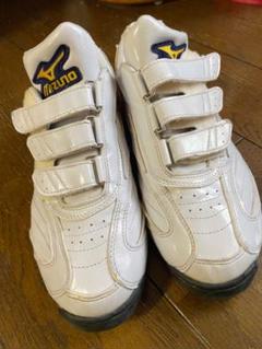 アシックス 野球 トレーニングシューズ