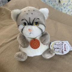 サンアロー　ぬいぐるみ　マヌルネコ
