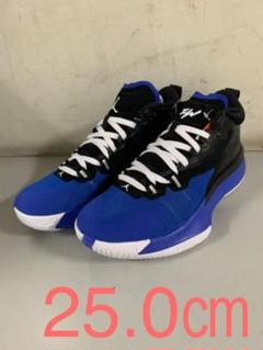 ZION 1 PF 004カラー　25.0㎝ ZION 1 PF 004カラー 25.0㎝ - メルカリ