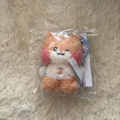 ソンハンビン ハンビン binini ビニニ 王子様ぬいぐるみキーリング 開封済 ZB1 ゼロニ binini ビニニ ハンビン キーリング ぬいぐるみ