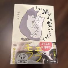 うちの猫がまた変なことしてる。