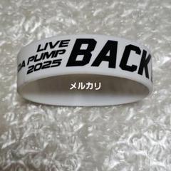 DAPUMP 2025 シリコンラバーバンド 8個セット LIVE DA PUMP 2025 BACK 2 DA UNITY」グッズ紹介＆DPC会員限定