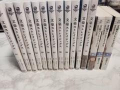 文豪ストレイドッグス 漫画 小説