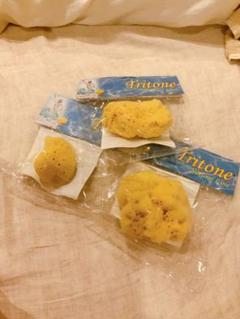 Bellini Sponge ベリーニ 海綿スポンジ 3個セット 定価1個3千円