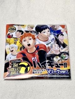 ハイキュー!!コレクション缶バッジ Vリーグver. ハイキュー コレクション缶バッジVリーグver. 木兎光太郎 飯綱掌