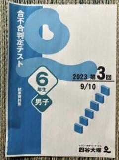 2025年最新】四谷大塚 合不合判定テスト 6年の人気アイテム