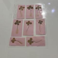 押し花セット しあわせの4葉のクローバー8枚