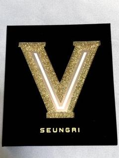BIGBANG★スンリ 韓国 アルバム VVIP ポストカード VI V.I スンリ ポストカードセット BIGBANG ソウルコングッズ