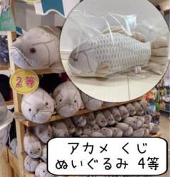 かに ぬいぐるみ カニ くじ 魚 水族館 キュート CUTE 2等 釣り 動物 かに ぬいぐるみ カニ くじ 魚 水族館 キュート CUTE 2等 釣り 動物