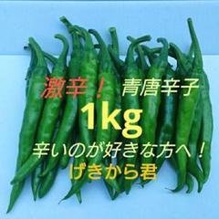激辛青唐辛子❗2品種セット 無農薬の農家直送 辛さ薫る 激辛青唐辛子 1kg | 野菜/その他野菜 産直アウル 農家