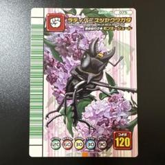 2025年最新】ラティペニスツヤクワガタの人気アイテム - メルカリ