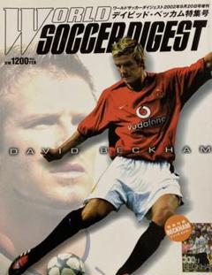 David Beckham art print - Etsy 日本