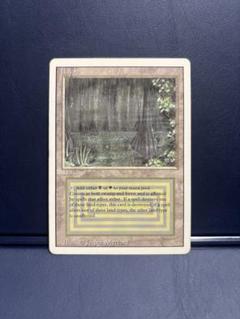 マジック：ザ・ギャザリング - MTG Scrubland 英語版 リヴァイズド 3ED 白 黒 デュアルランド 2025年最新】デュアルランドの人気アイテム - メルカリ