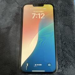Apple iPhone 13 Pro Max 128GB 液晶パネル新品