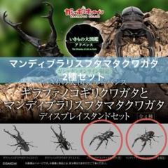 いきもの大図鑑アドバンス オンライン版『マンディブラリス いきもの大図鑑アドバンス オンライン版『マンディブラリス
