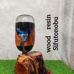 m56106597272_1.jpg?1723607047