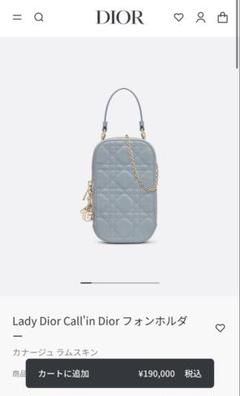 2025年最新】dior フォンホルダー ブルーの人気アイテム - メルカリ