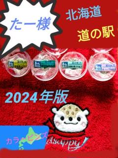 2025年最新】道の駅 ピンズ 壮瞥の人気アイテム - メルカリ