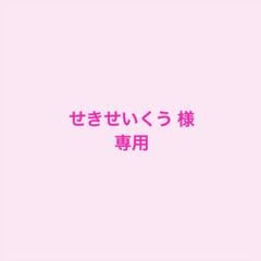 せきせいくう様専用 王一博 ポストカード・ミニカードセット