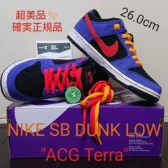 NIKE SB DUNK LOW "ACG Terra" ②