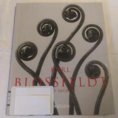 Karl Blossfeldt:Photographs1865-1932