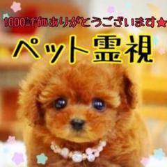 クーポン対象外 私の愛する犬たち 絶版本 犬のぬいぐるみが作れる型紙付き 住まい 暮らし 子育て Www Tempodebrincar Com Br クーポン対象外 私の愛する犬たち 絶版本 犬のぬいぐるみが作れる型紙付き 住まい 暮らし 子育て Www Tempodebrincar Com Br
