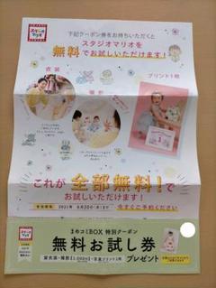 スタジオマリオ 無料お試し券