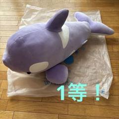 神戸須磨シーワールド　オルカくじ　一等