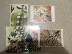 Amazon.co.jp: 田中一村美術館製 絵柄4種 奄美の森「桜躑躅に赤