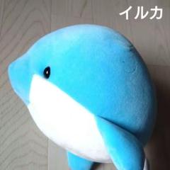 名古屋港水族館　南知多ビーチランド　スピードくじ　特賞　激レア 名古屋港水族館南知多ビーチランドスピードくじ特賞激レア