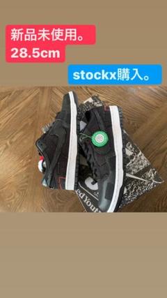 WASTED YOUTH NIKE SB DUNK LOW SP BOX