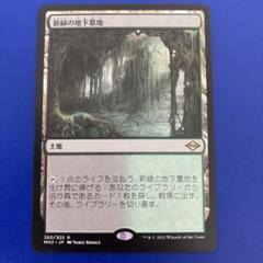 人気カラーの 新緑の地下墓地/Verdant Catacombs《英語》【SLU