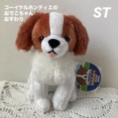コーイケルホンディエのおでこちゃん おすわり VMCコンプリート 大谷翔平 コーイケルホンディエのおでこちゃん おすわり VMCコンプリート