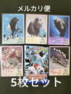 TOBA AQUARIUM コレクションカード　とばすいコレカ　キラちゃんセット