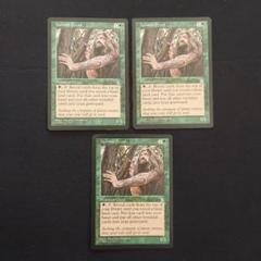 MTG ストロングホールド　英語版　隠遁(いんとん)ドルイド　3枚セット MTG ストロングホールド 英語版 隠遁(いんとん)ドルイド 3枚