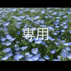 同人誌5冊