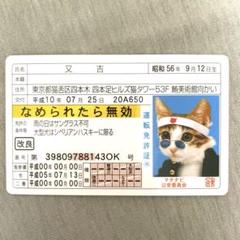 2025年最新】なめねこカードコレクションの人気アイテム - メルカリ