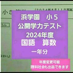 浜学園　小５　2024年度　公開学力テスト　国語算数　一年分　未記入