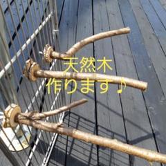 お作りいたします 天然木 止まり木 3本セット インコ ブンチョウ ドングリ