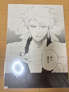 Amazon.co.jp: BLEACH 原画展 複製原画 日番谷冬獅郎 : おもちゃ