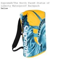 Supreme / The North Face Backpack