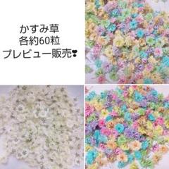 かすみ草ドライフラワー 各約60粒×写真の3セット