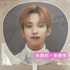 SEVENTEEN セブチ ドギョム うちわ 団扇 まとめ売り 28点