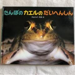 たんぼのカエルのだいへんしん