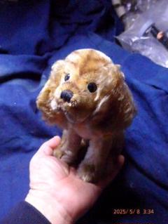 本命ギフト シュタイフのとても貴重な50年代から60年代の犬のぬいぐるみです ぬいぐるみ