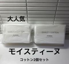 モイスティーヌ　美顔器　洗顔セット　ポーチ　付き モイスティーヌ美顔器スキンコンディショナー ポーチ付
