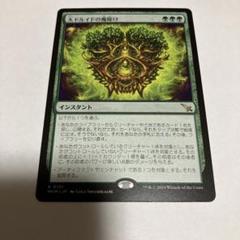 MTG 大ドルイドの魔除け　日foil4枚セット MTG 大ドルイドの魔除け 日foil4枚セット - メルカリ